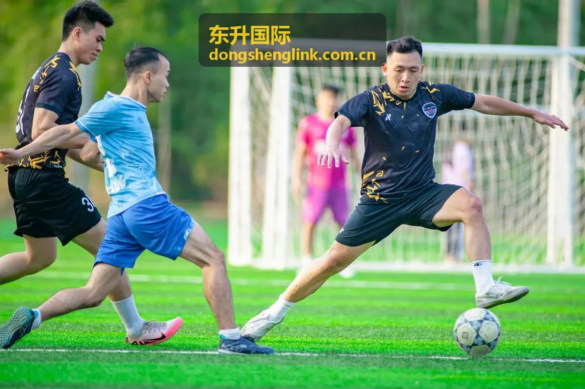 东升国际新用户专属活动